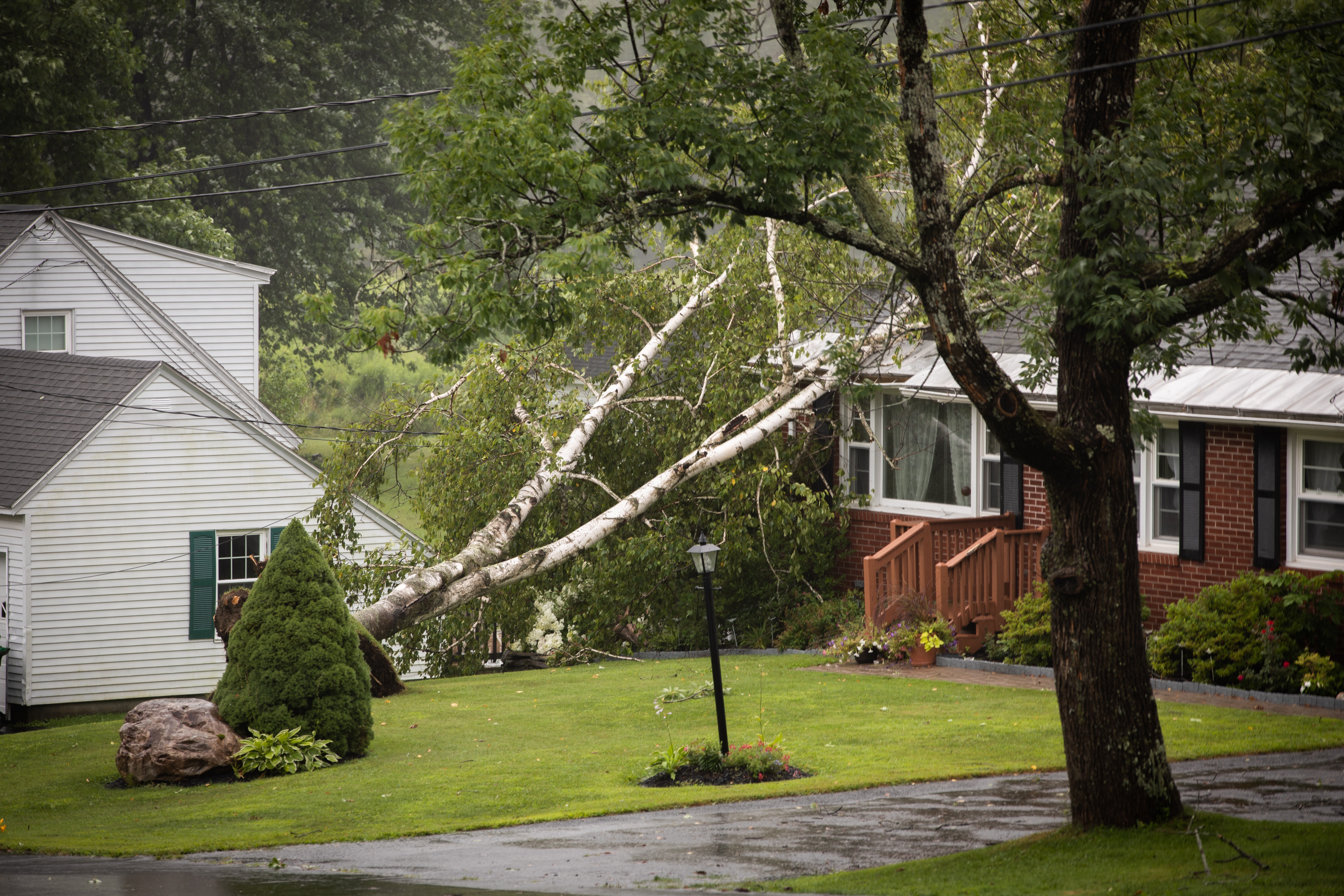Large tree fallen onto a residential home in St. Louis after a severe storm, causing visible roof and structural damage