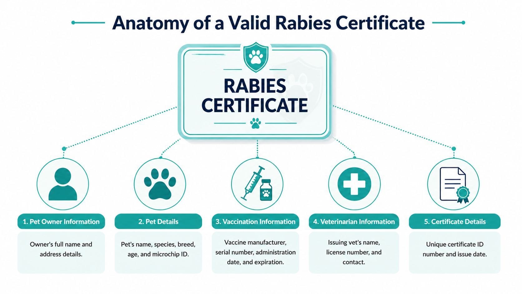 An infographic detailing the five essential components required to create a valid rabies certificate for pets.