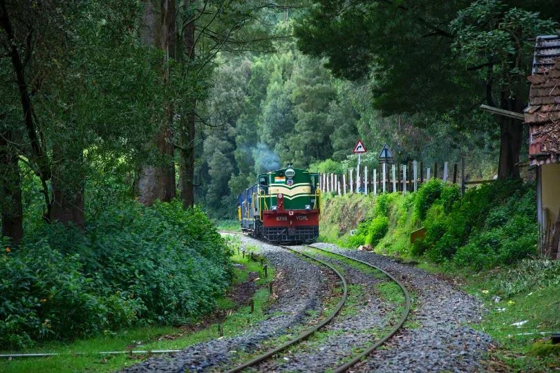 Nilgiri Mountain Railway train through forest