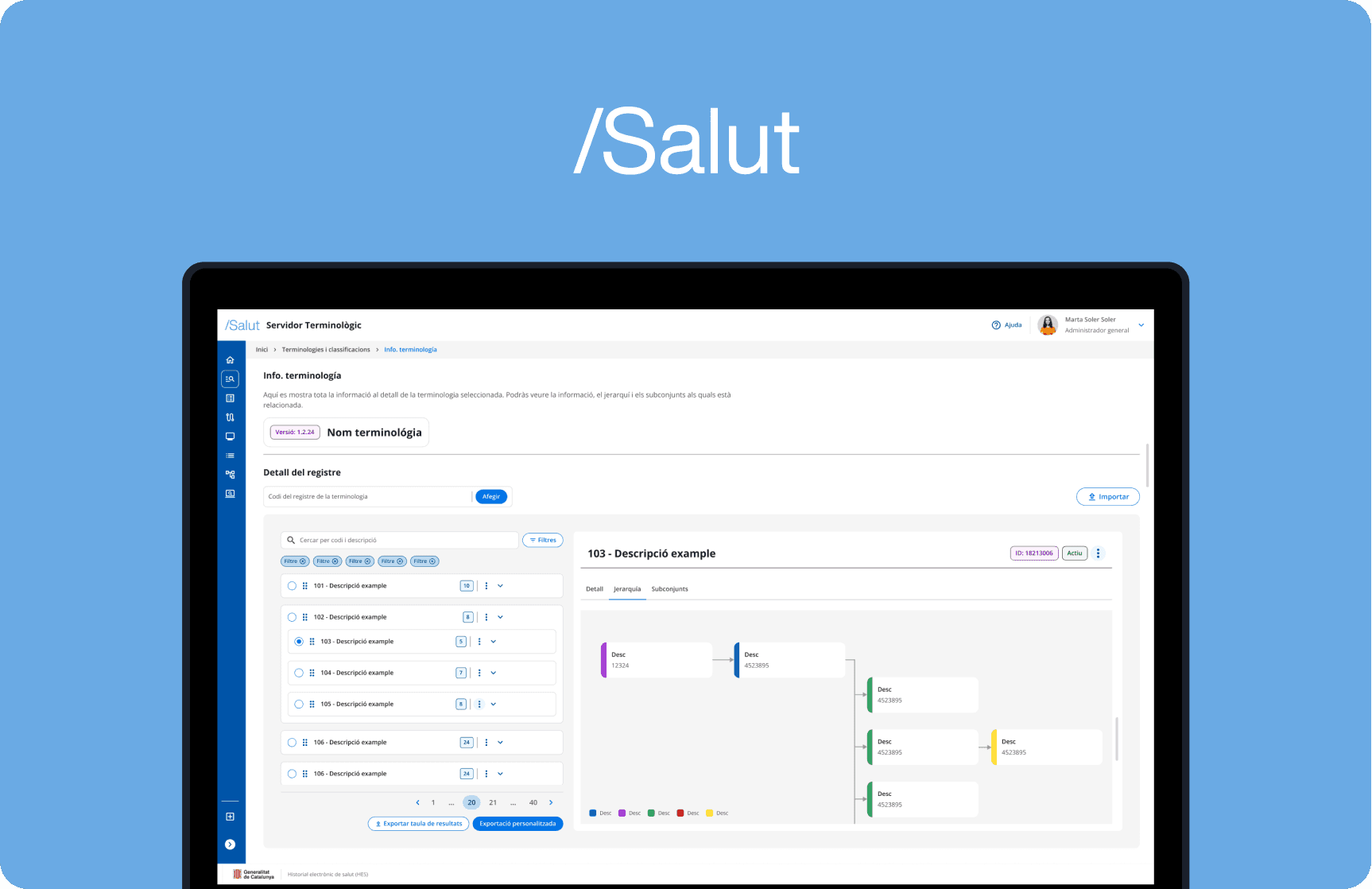 Salut Terminology Server Cover