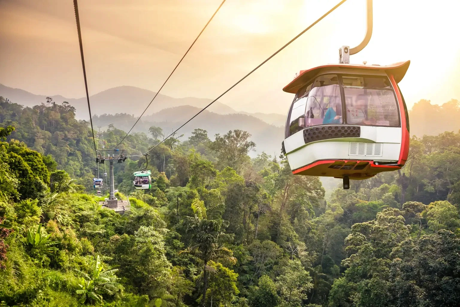 Cable car over rainforest
