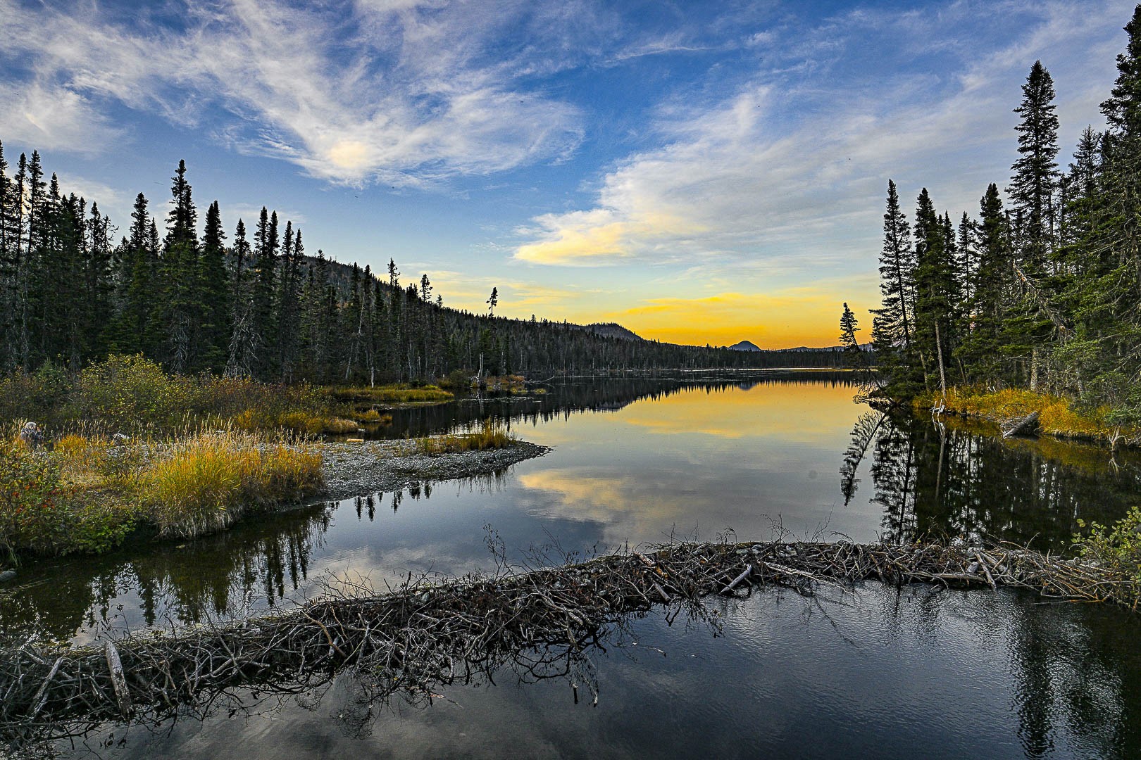 Couché de soleil sur un lac et barrage de castors