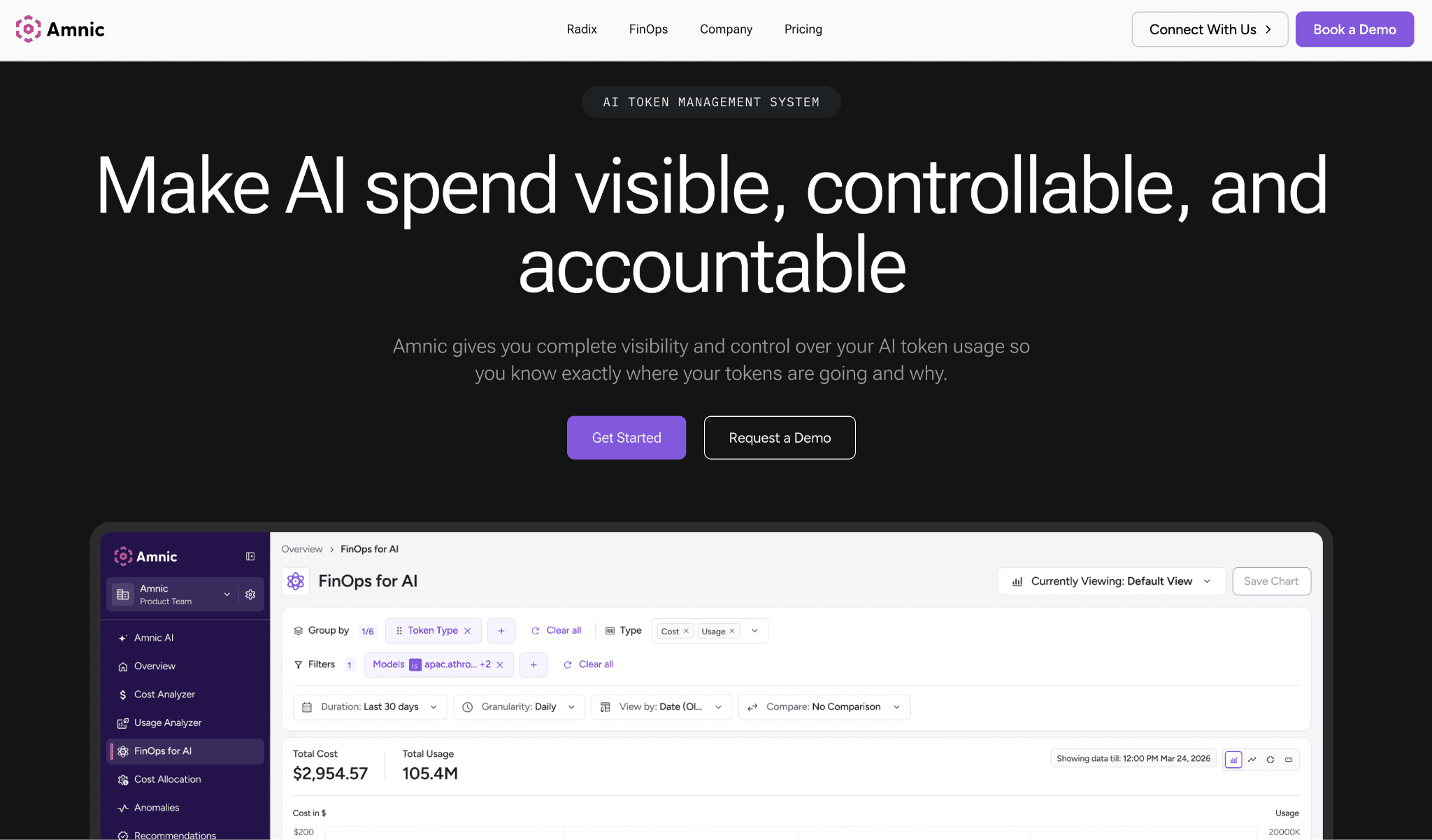 Amnic OpenAI Cost Monitoring Tools