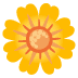 🌼
