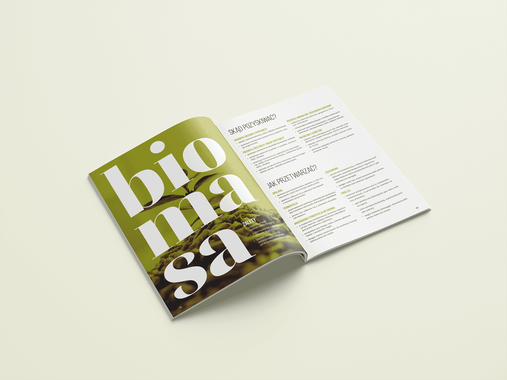 Strony broszury poświęcone biomasie: źródła pozyskiwania, metody przetwarzania oraz zalety.