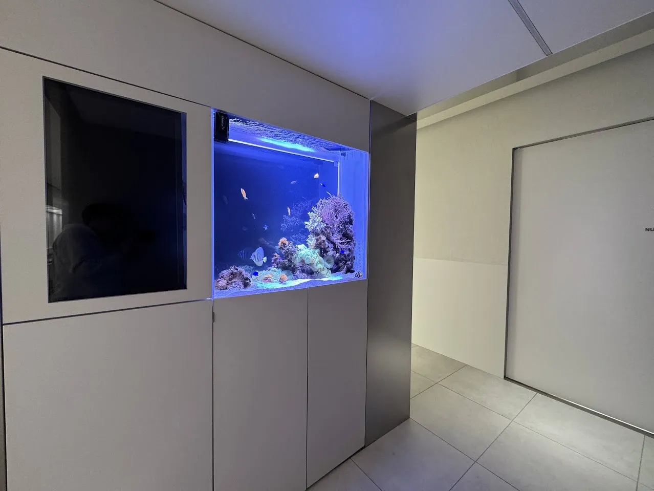 廊下の壁面に組み込まれた小型海水水槽が、落ち着いた青色照明で演出されている