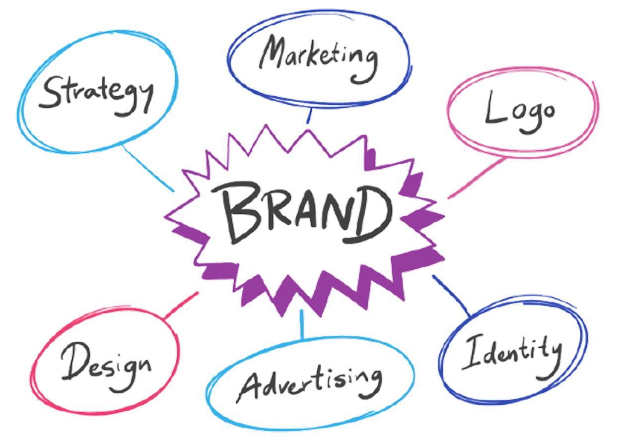 Portfolio Creator Avatar