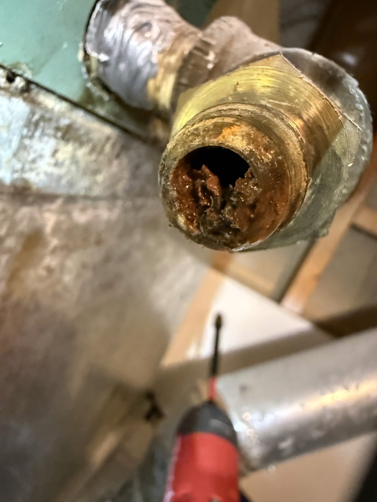 Close view of a brass condensate drain fitting packed with debris.