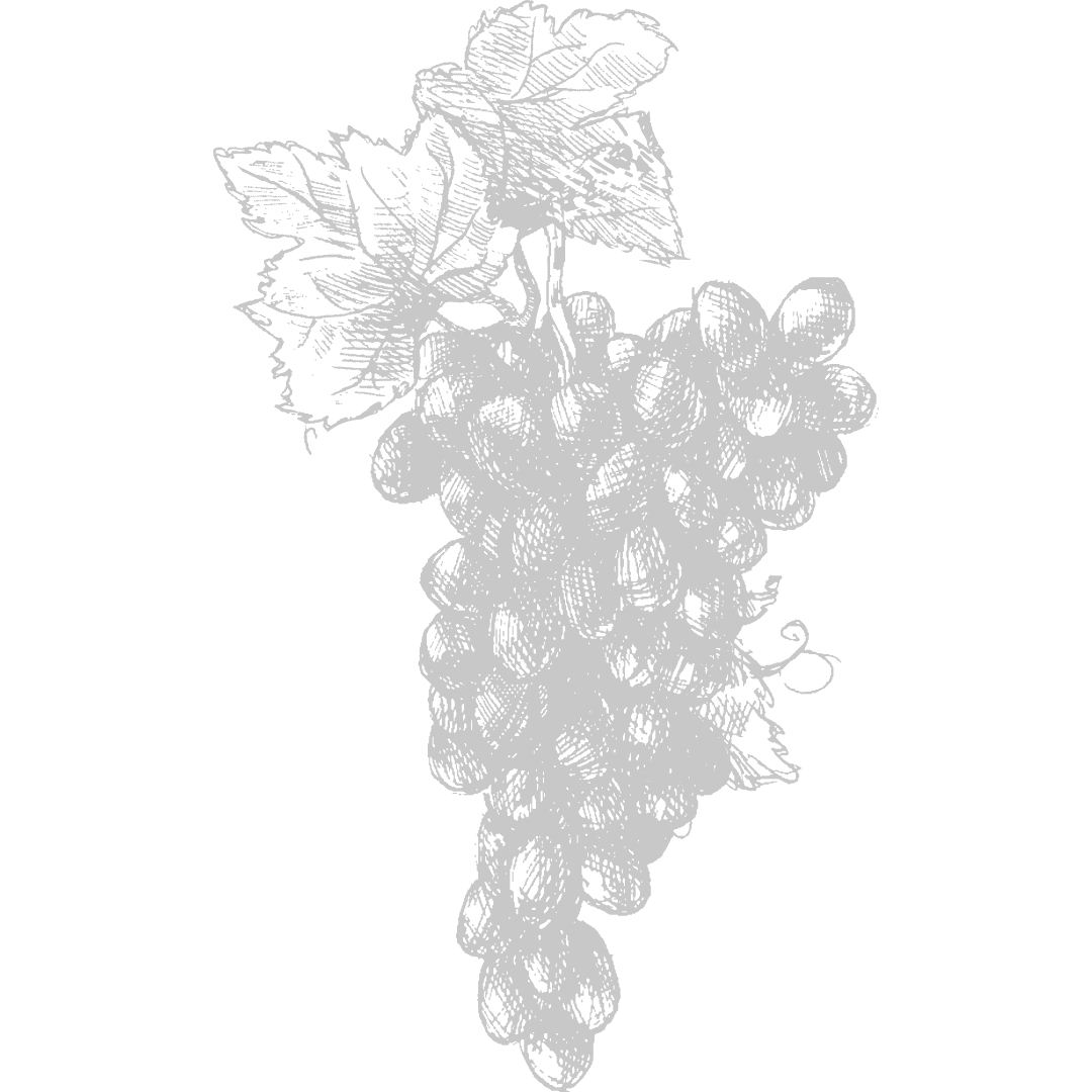 Illustration of prepared oysters