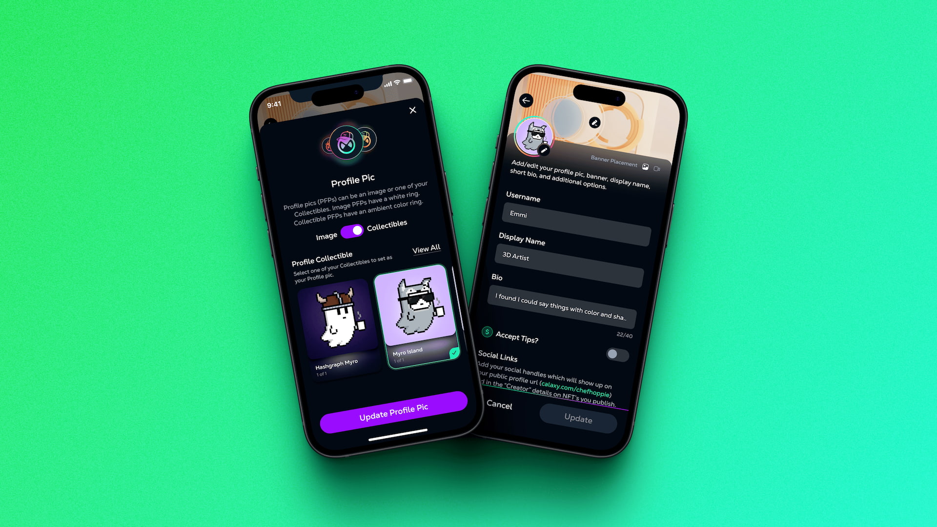 Profile customization interface for blockchain social media, showing how users select an NFT as a profile picture and edit display name, bio, and social links.