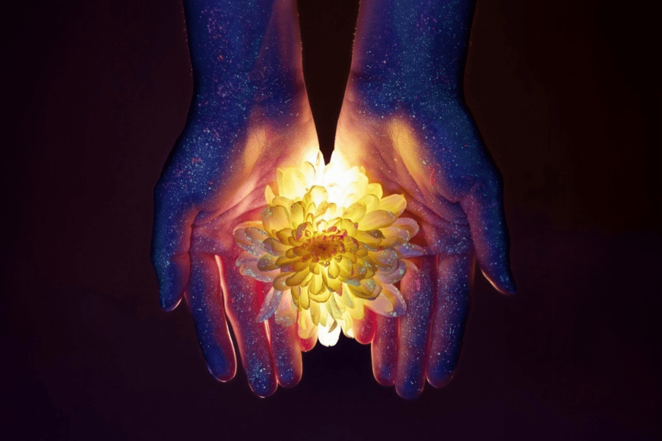 healing beyond the plate eating dirorder