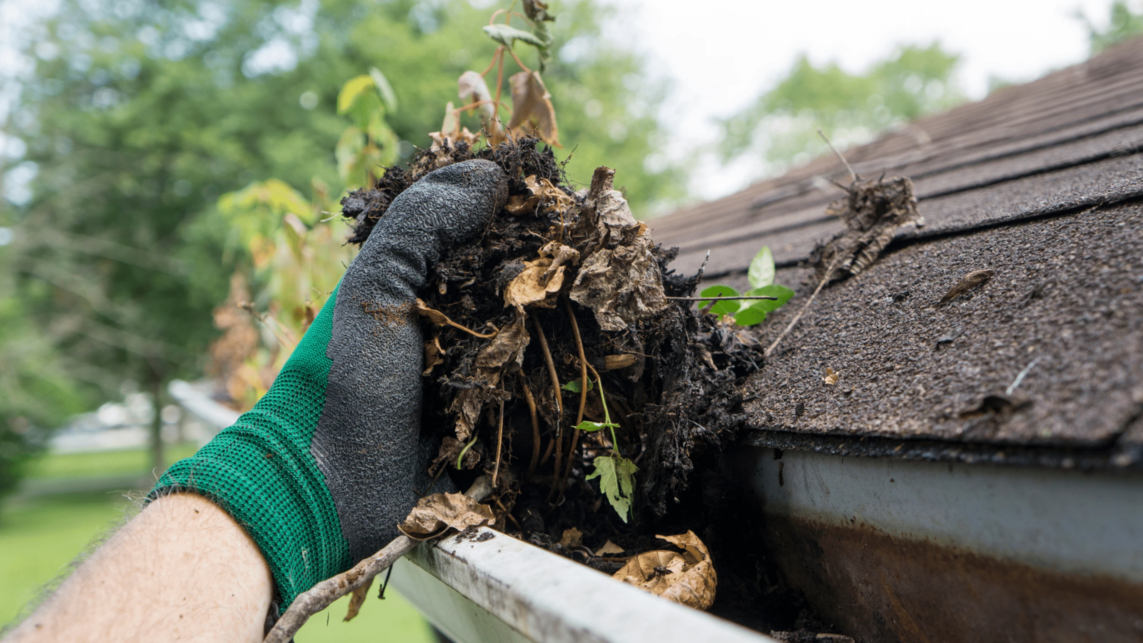 Best Time to Clean Roof and Gutters