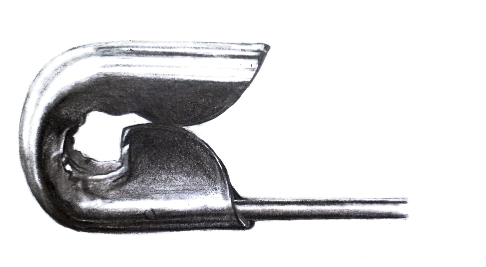 a person holding a small bowl of food