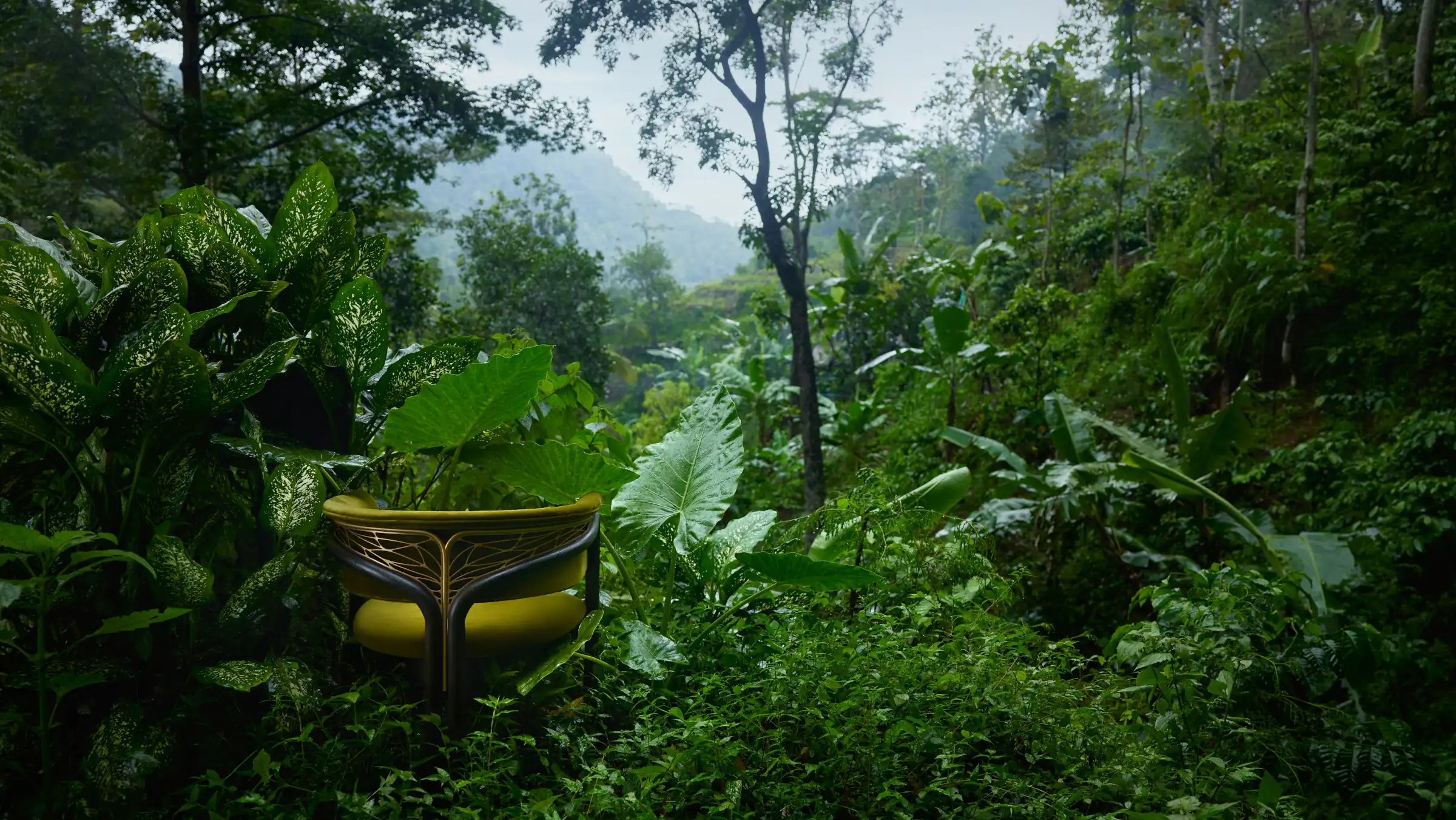 MORPHO BY TOMORROWLAND’s dragonfly signature chair