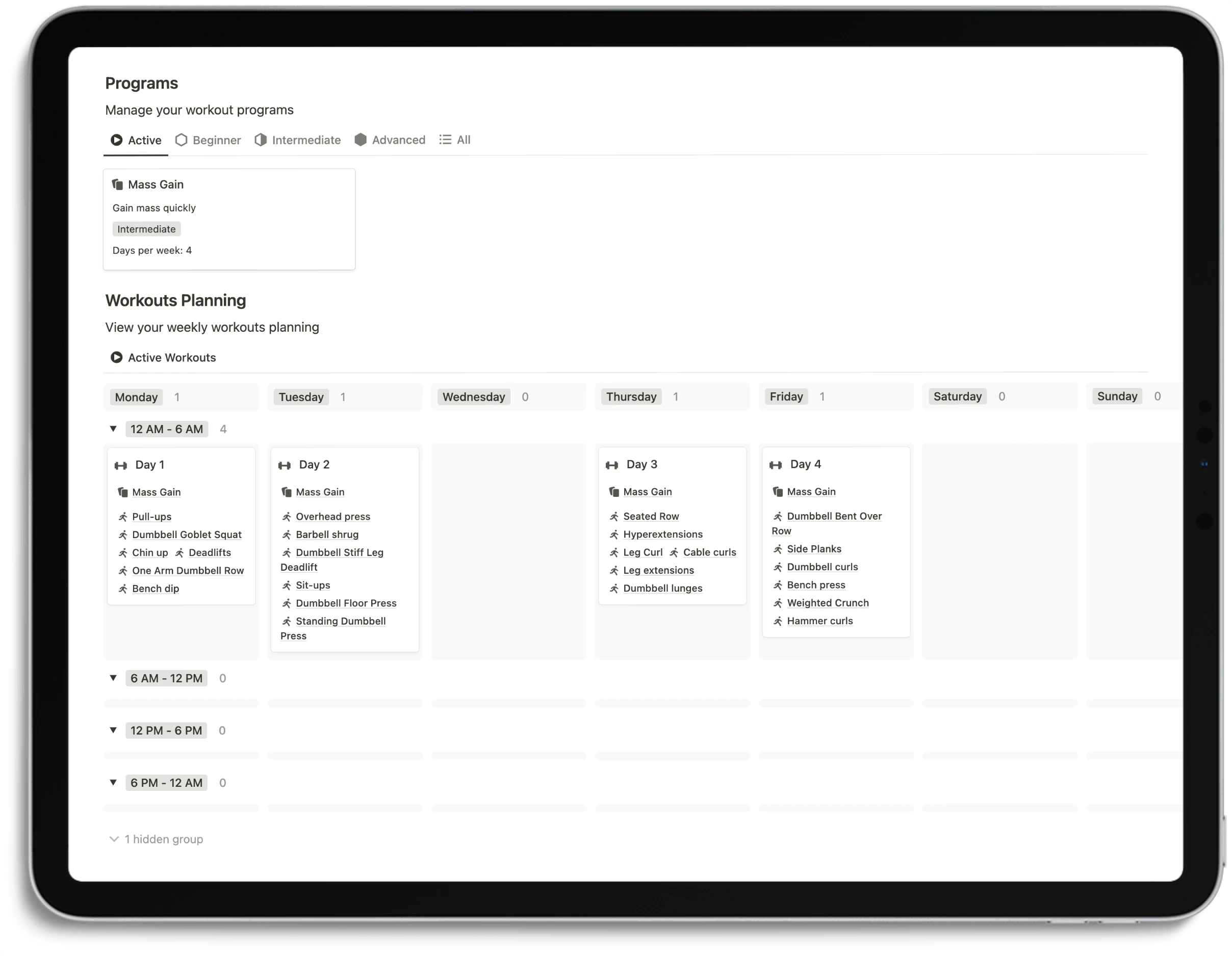 Notion Optimal Workout System - Program