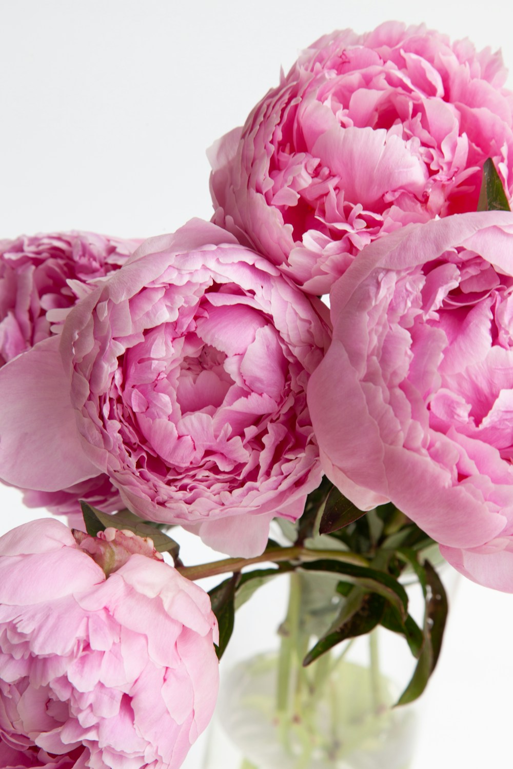 Petite Posy