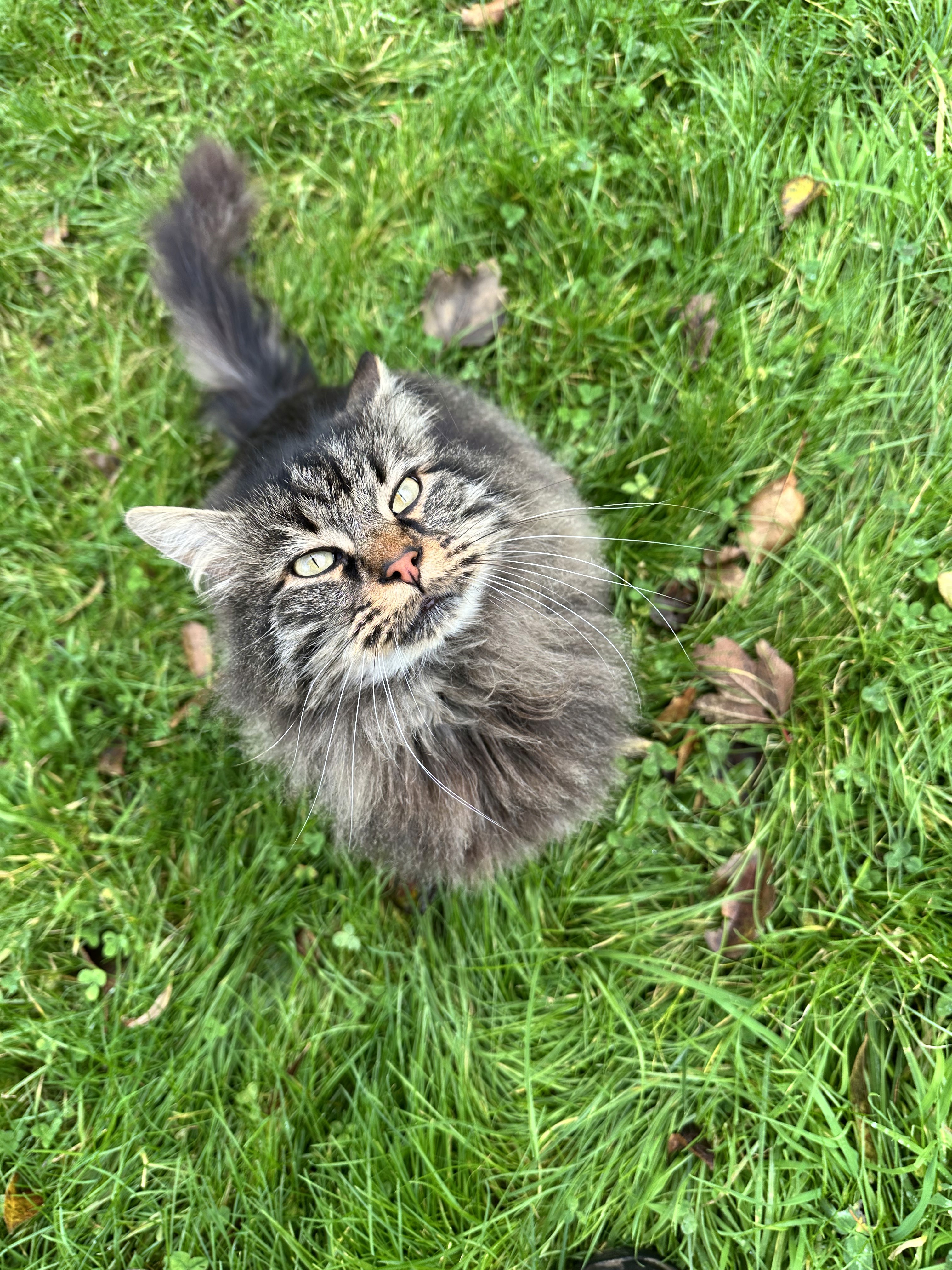 Una&Co photo Visite à domicile