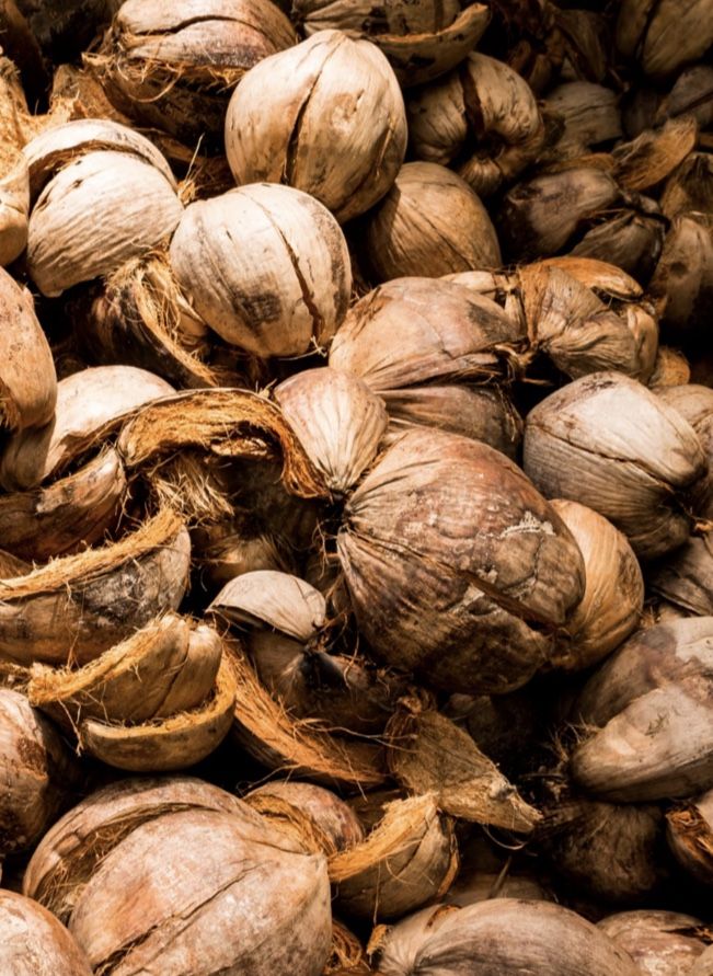 Coach explaining something to an athlete