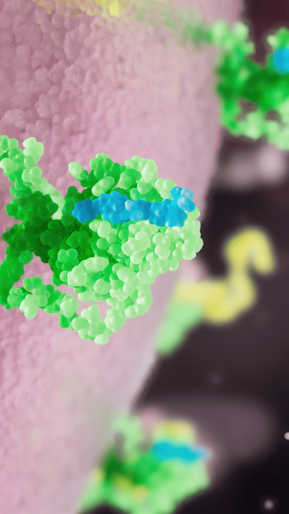 Inhibitor molecule in complex with BCL-xL molecule on the mitochondrial surface