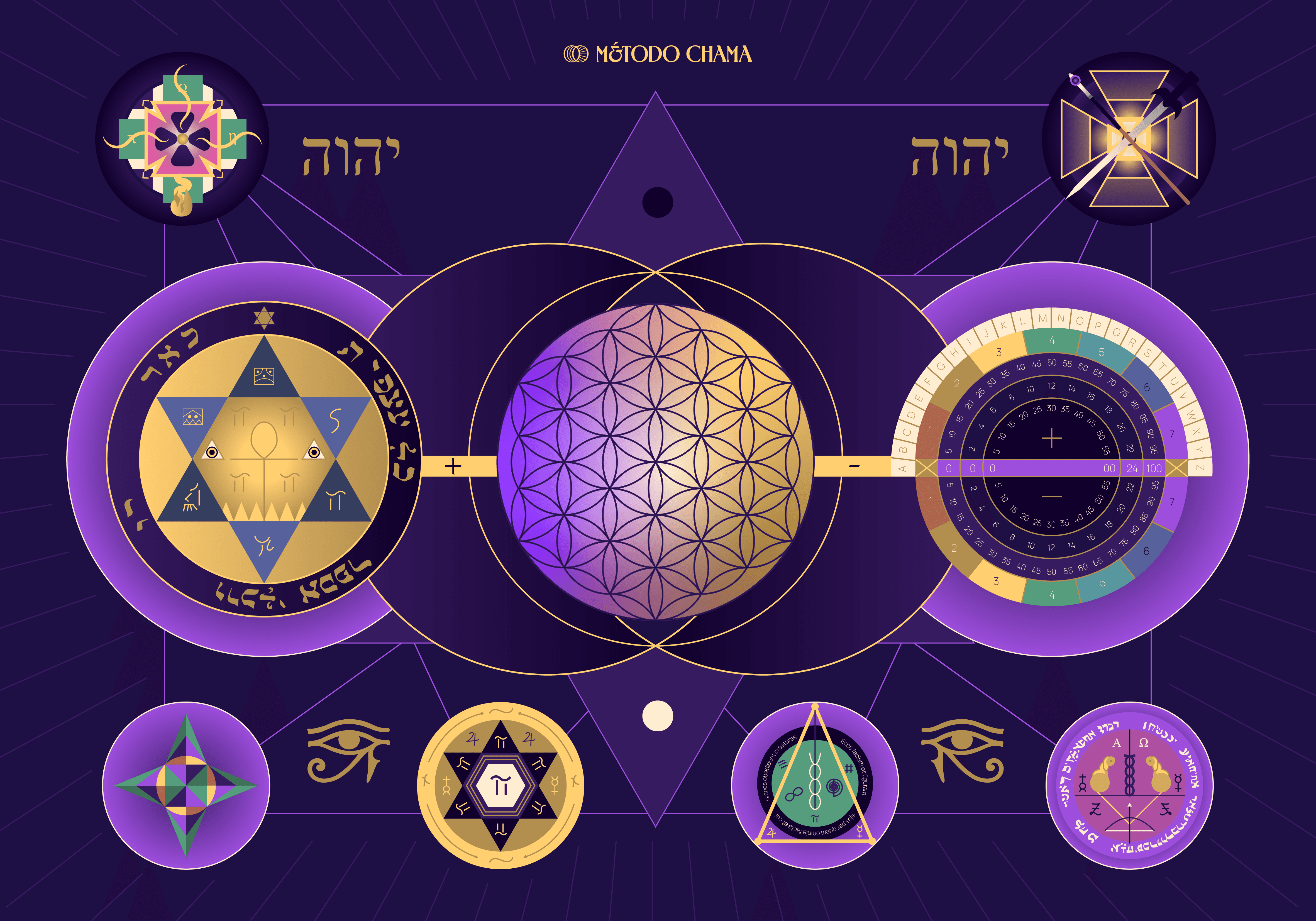 An image of Dreelio's dashboard