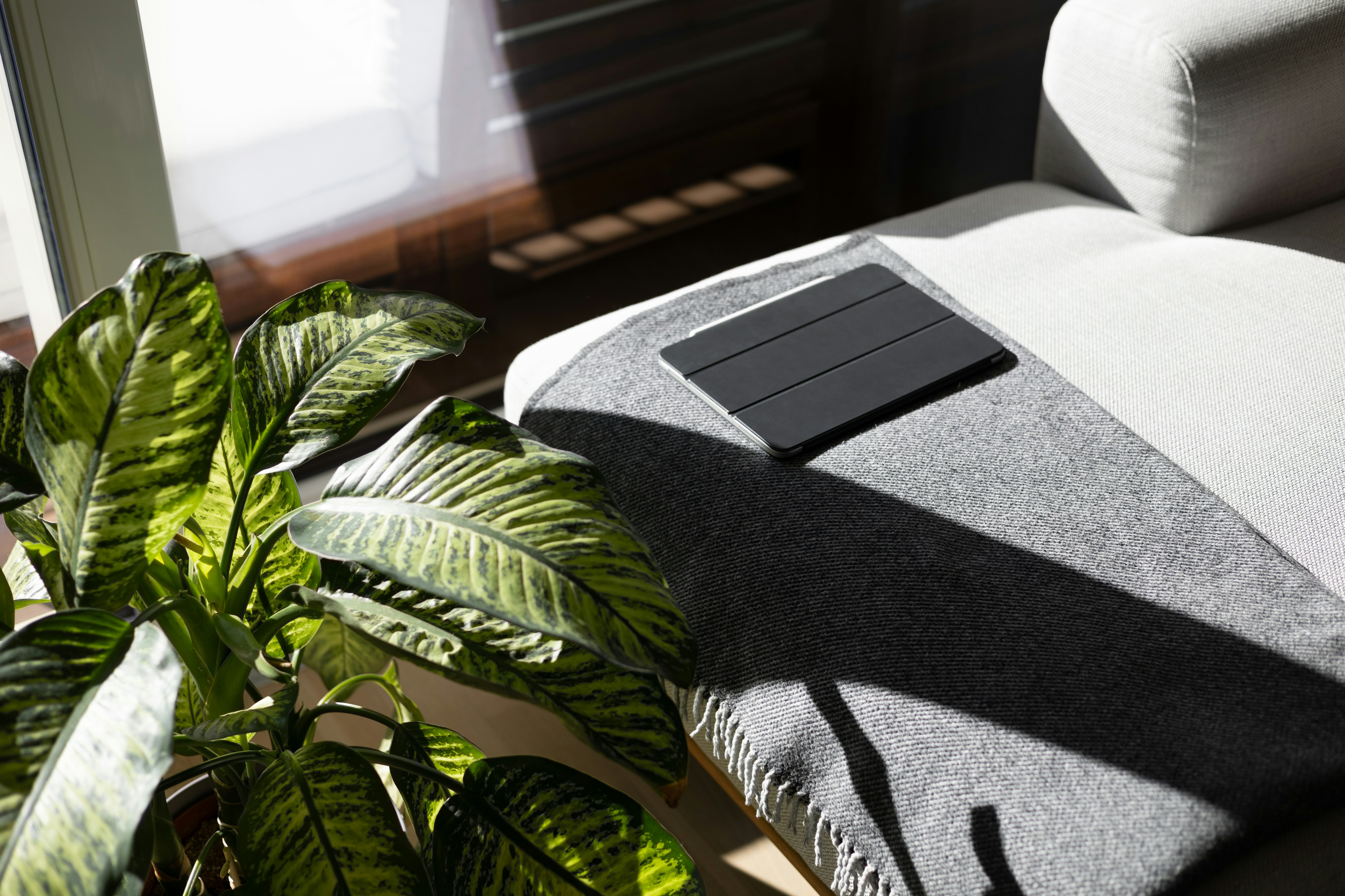 A bed with a plant and a pillow on top of it