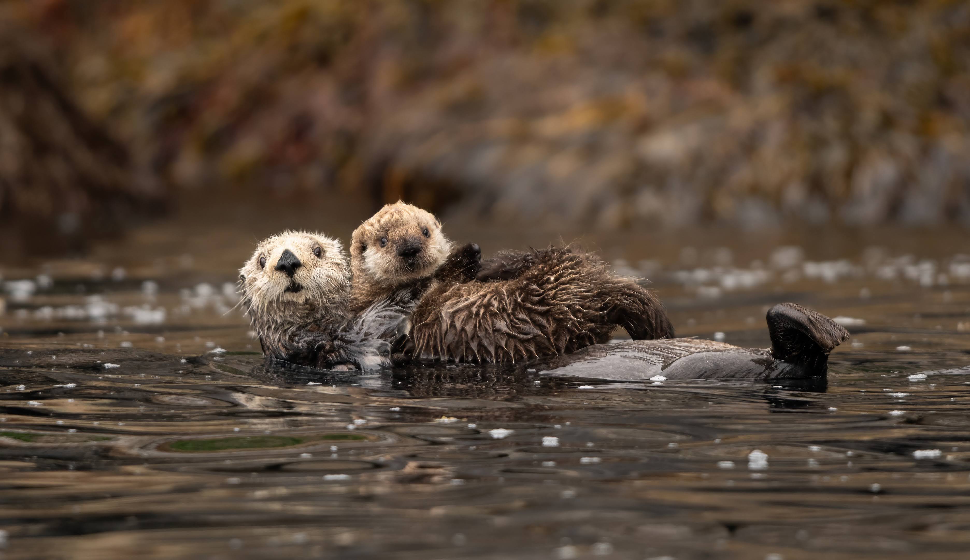 Photo of Irene in a neon scene