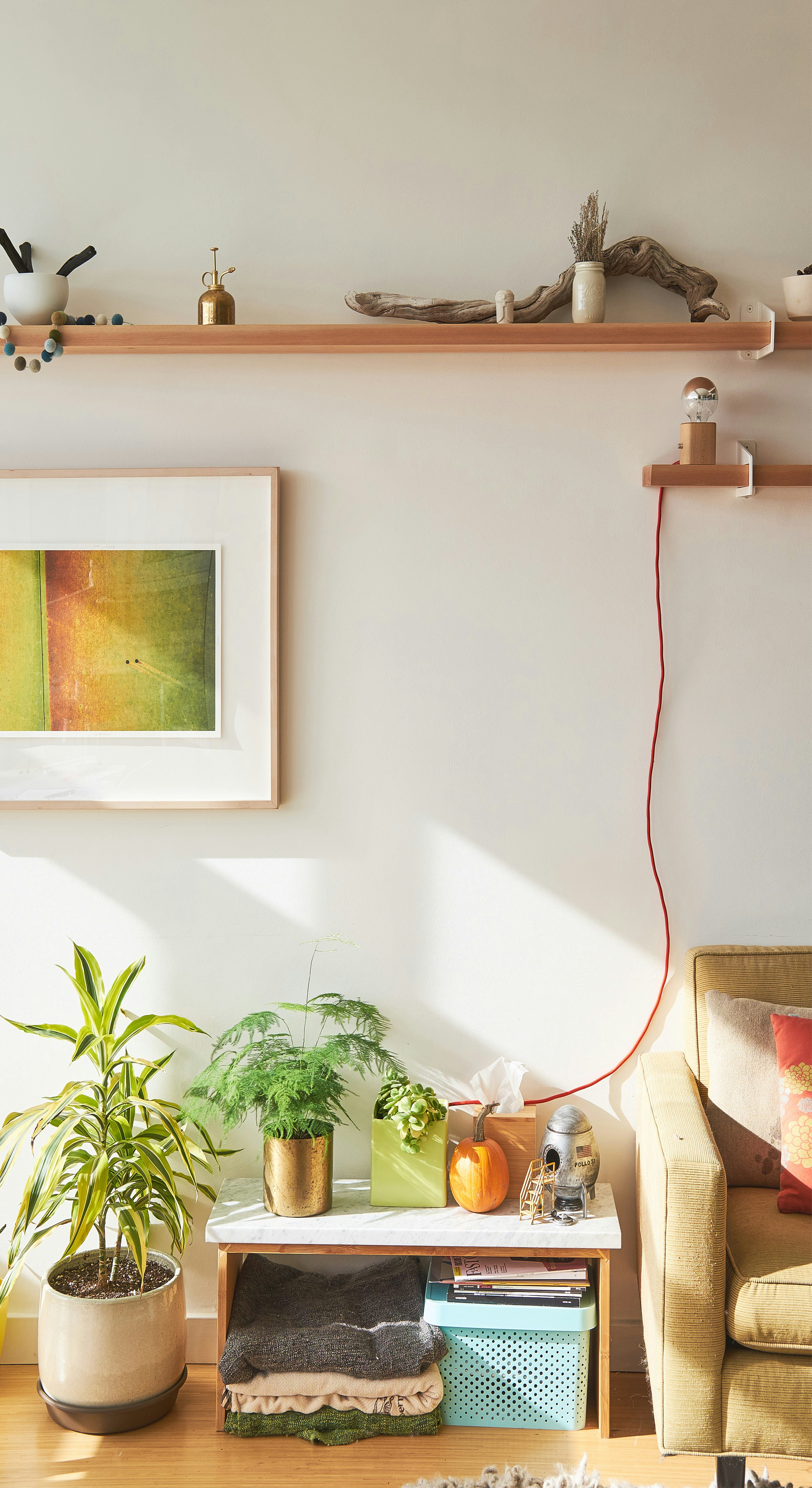 green potted plant on white and brown wooden table