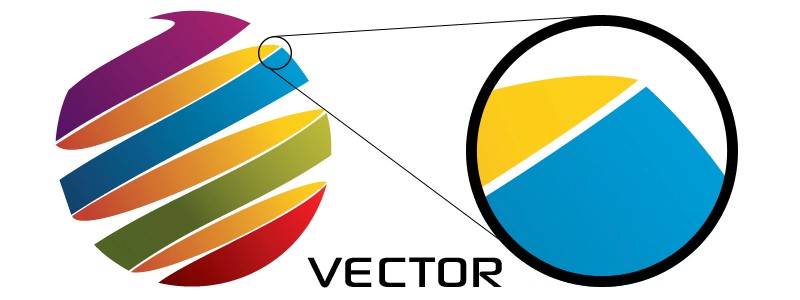 vector