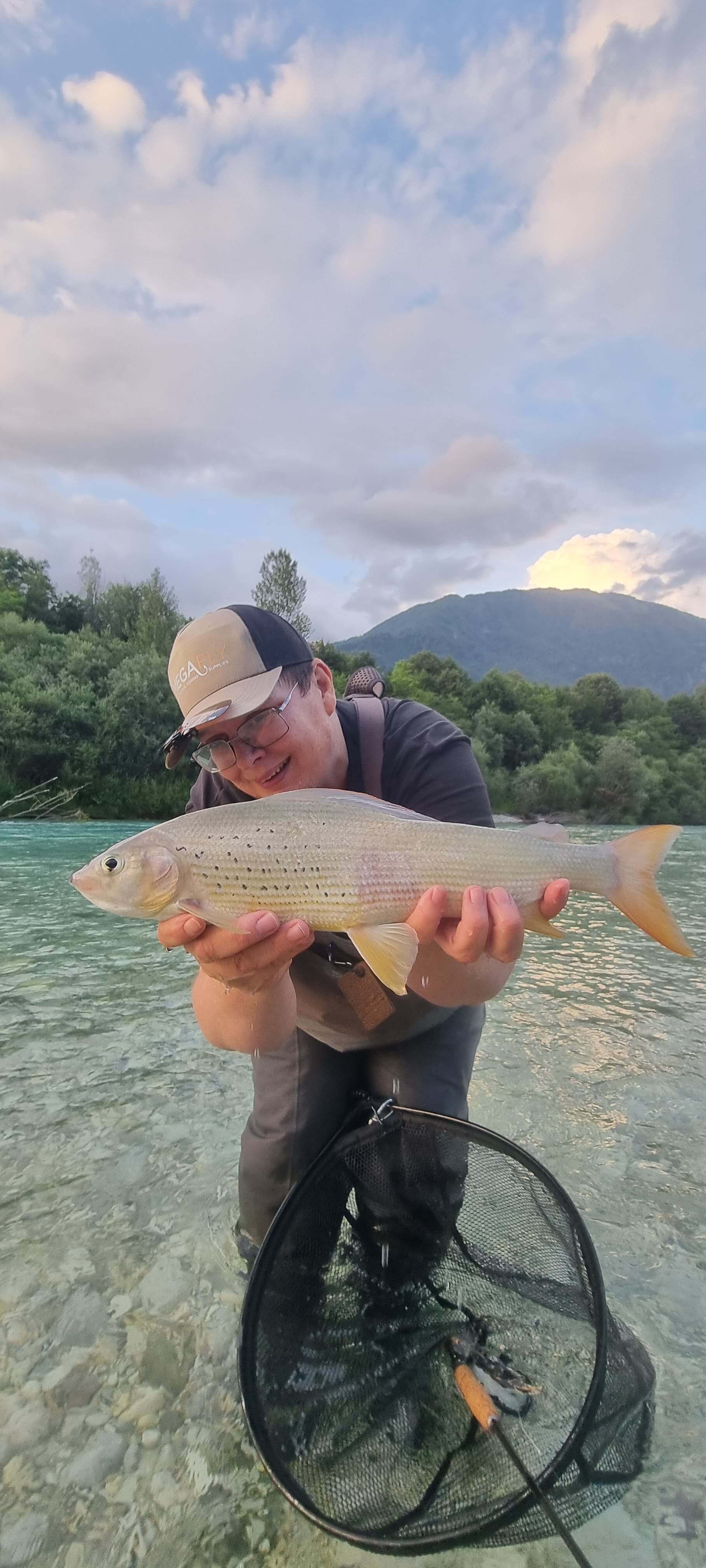 grayling in slovenia
