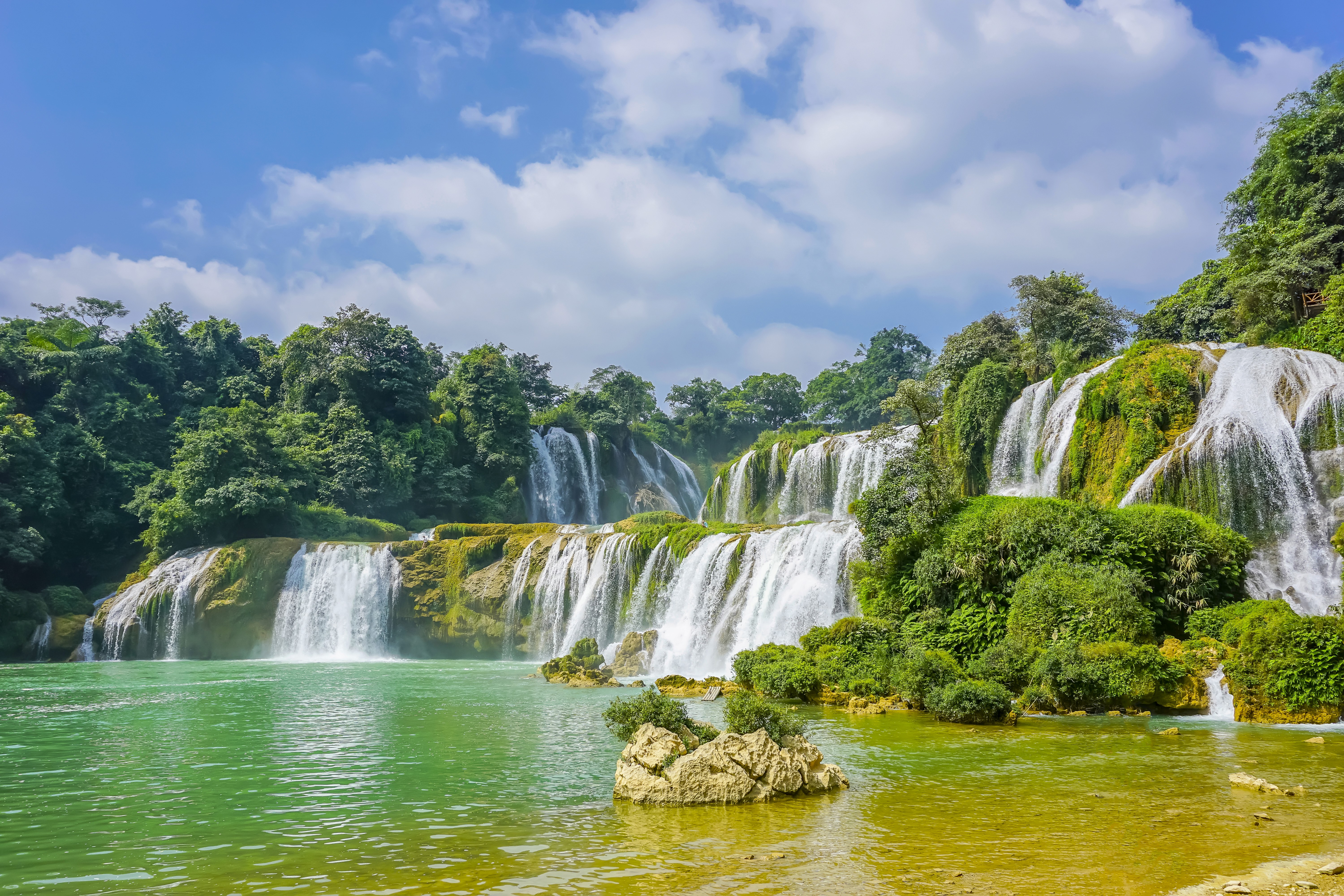 The last image on the Nature album