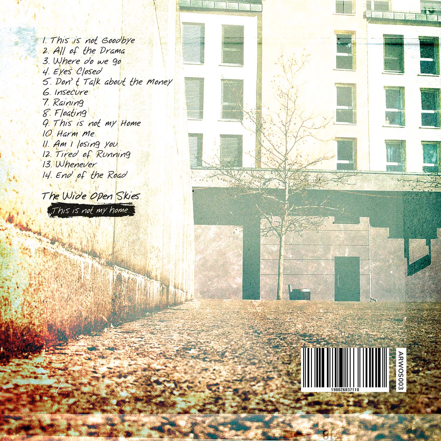 Wide Open Skies album cover design