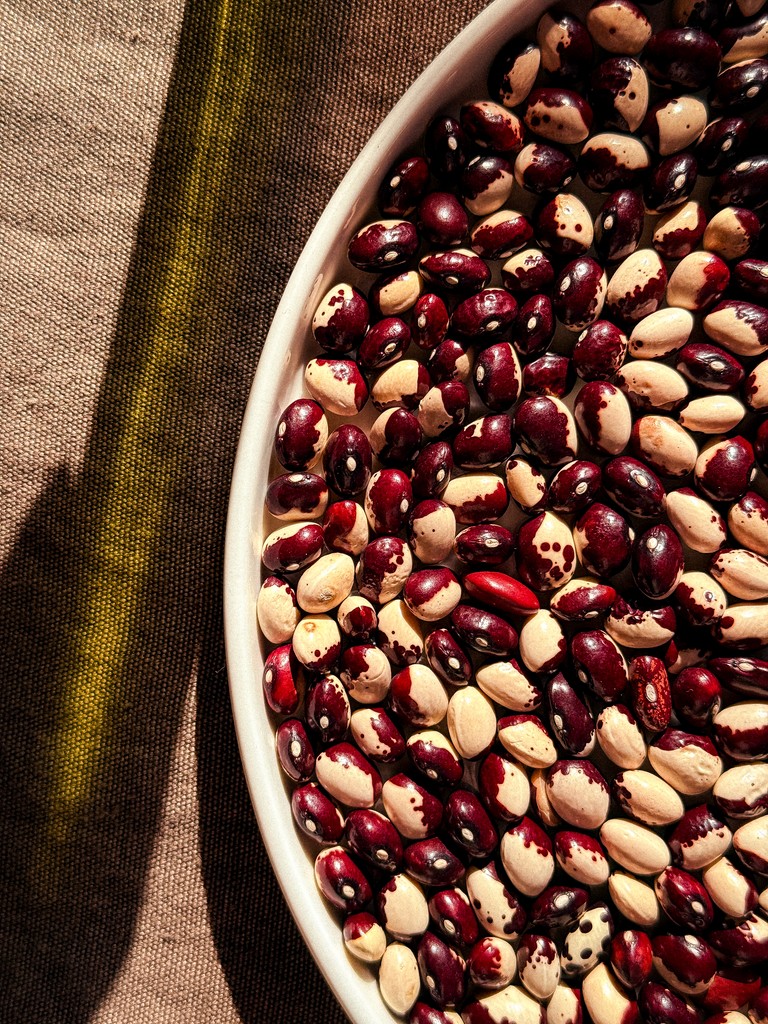 Chef Paolo Salvati ingredients — Tuscan producers for Dubai interventions