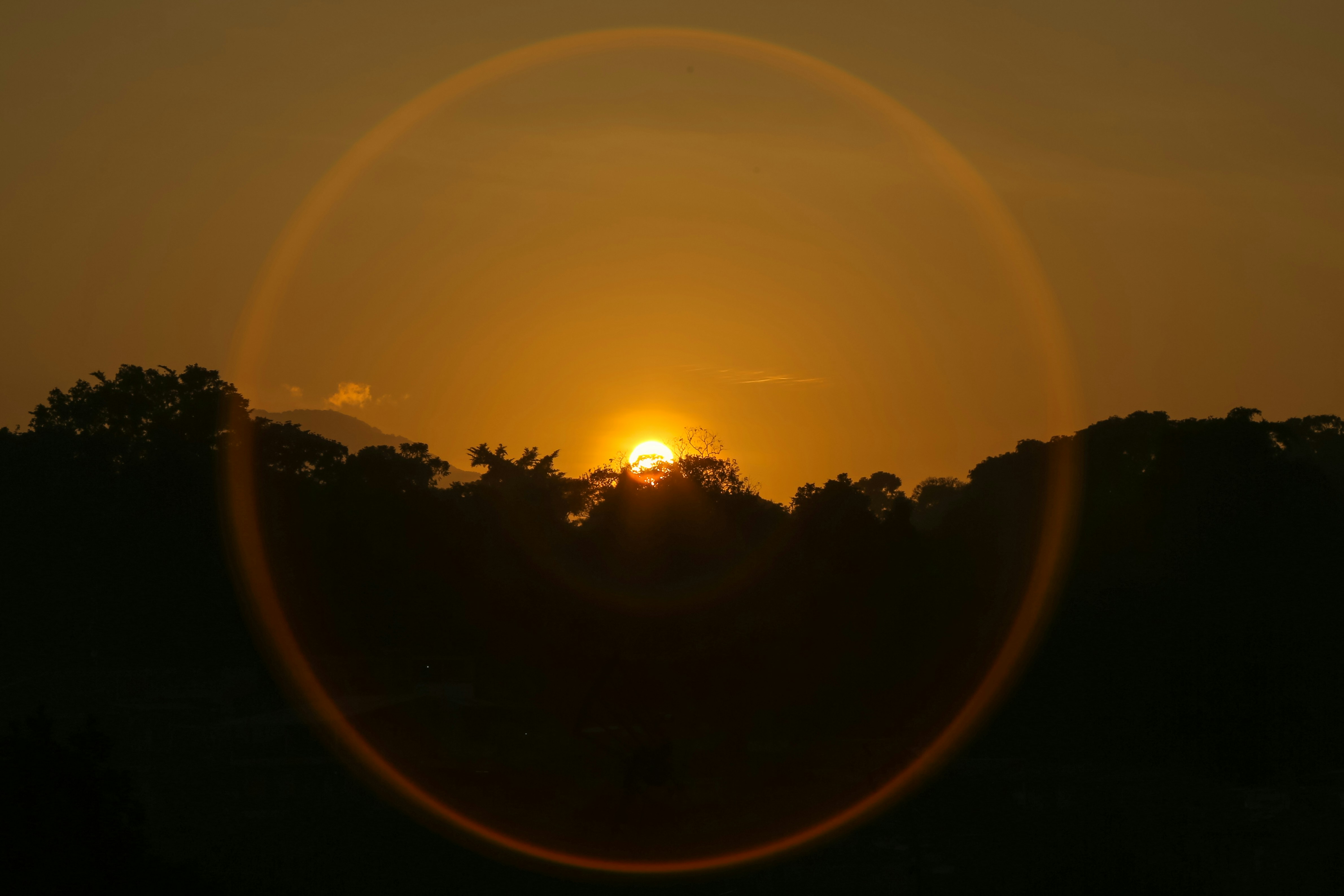 a sunset over a forest