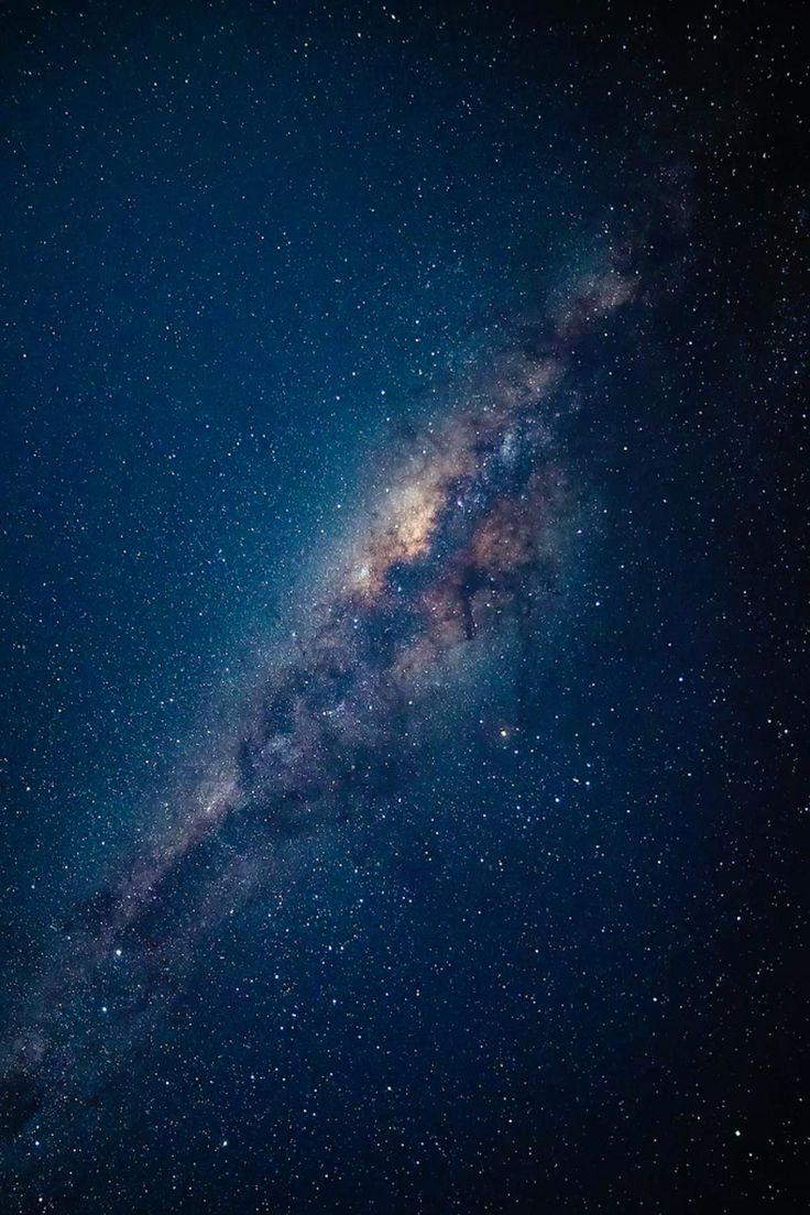 A dark green baseball cap with pink text.