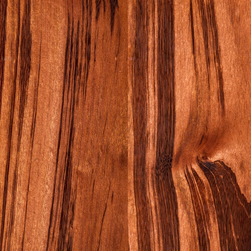 paraguay tigerwood wood