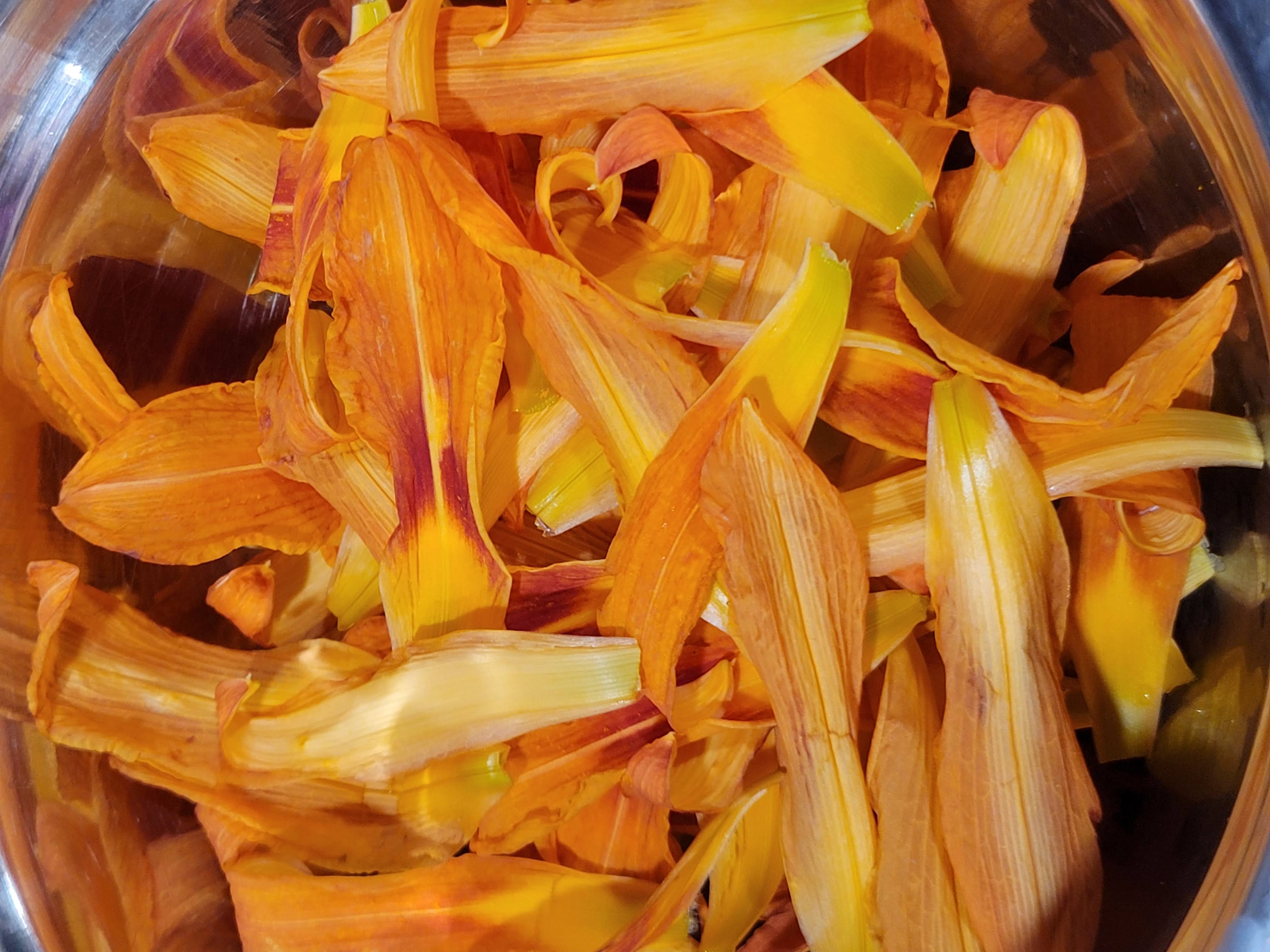 Students identifying and sorting edible wild plants as part of a foraging certification course.