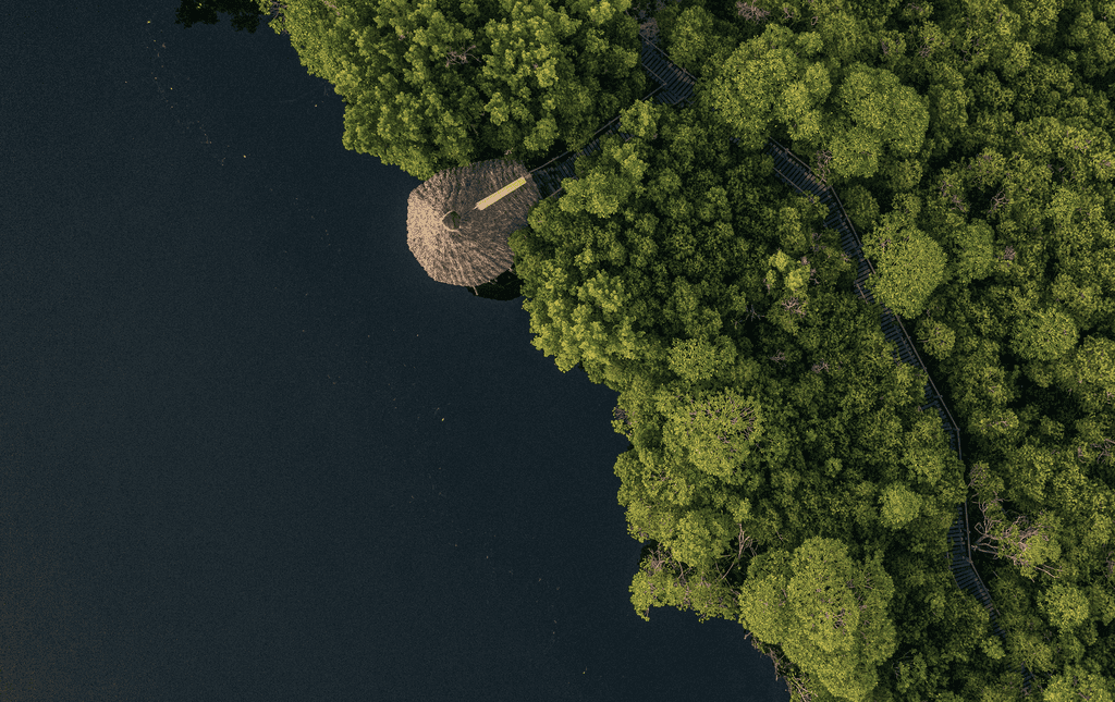 woman holding a phone and man looking at the phone. both are smiling