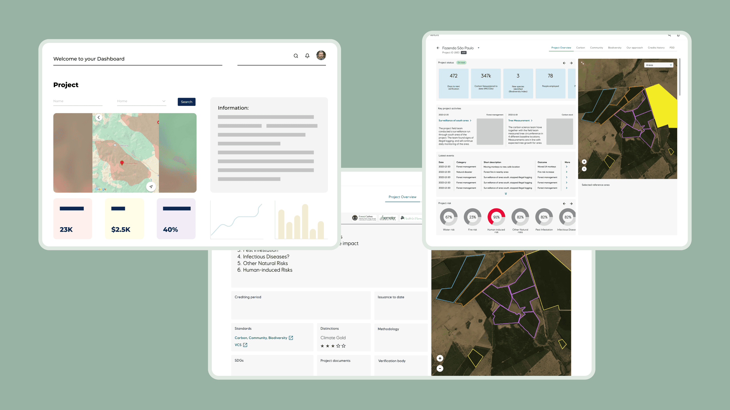 Wireframes