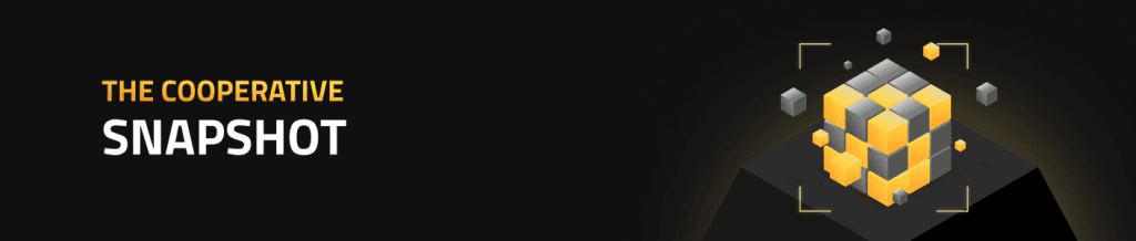 The Cooperative Snapshot - game server hosting