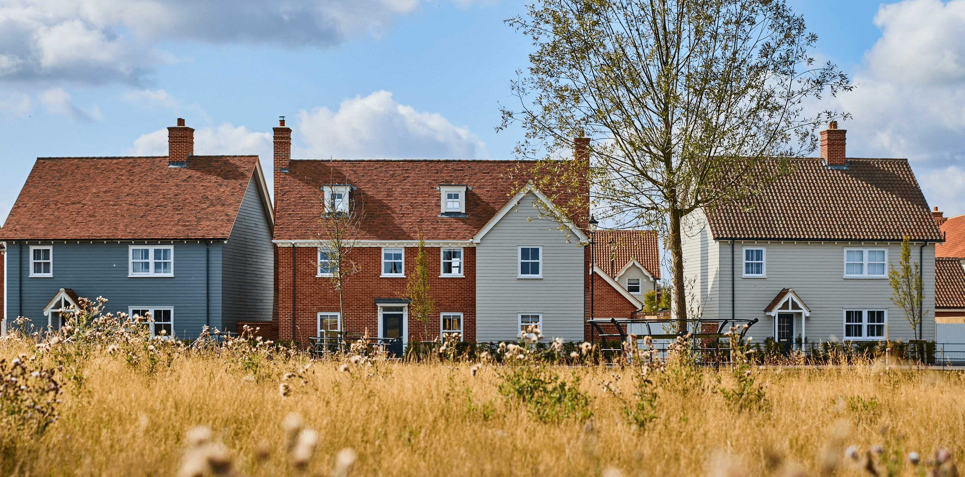 A row of houses in the background with a field and tree infront of them