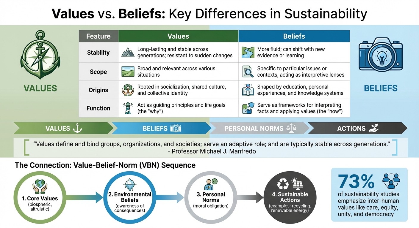 Values vs Beliefs in Sustainability: Key Differences and Impact