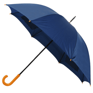 Purple umbrella
