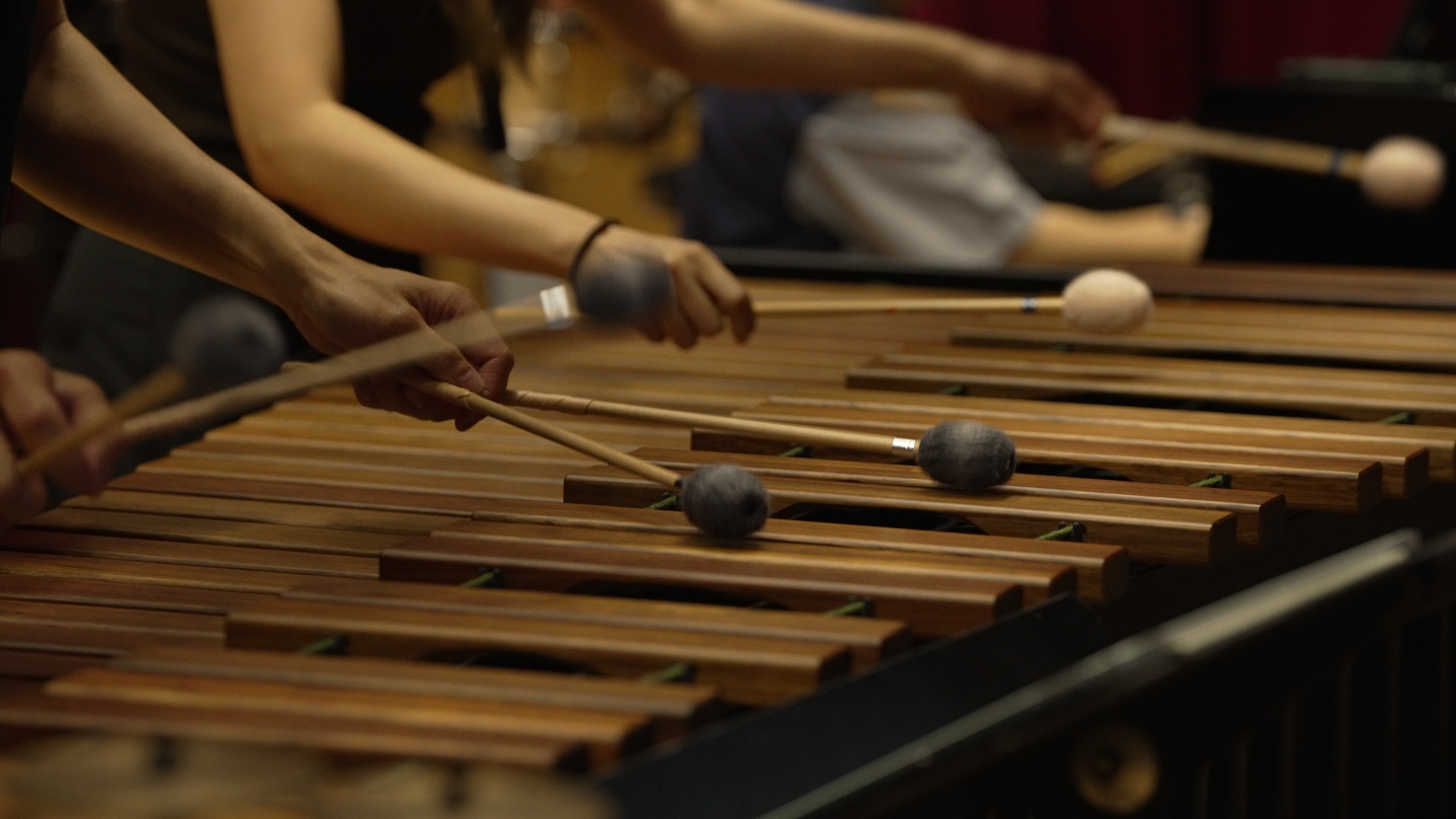 close up of the sister wearing her brother's jacket