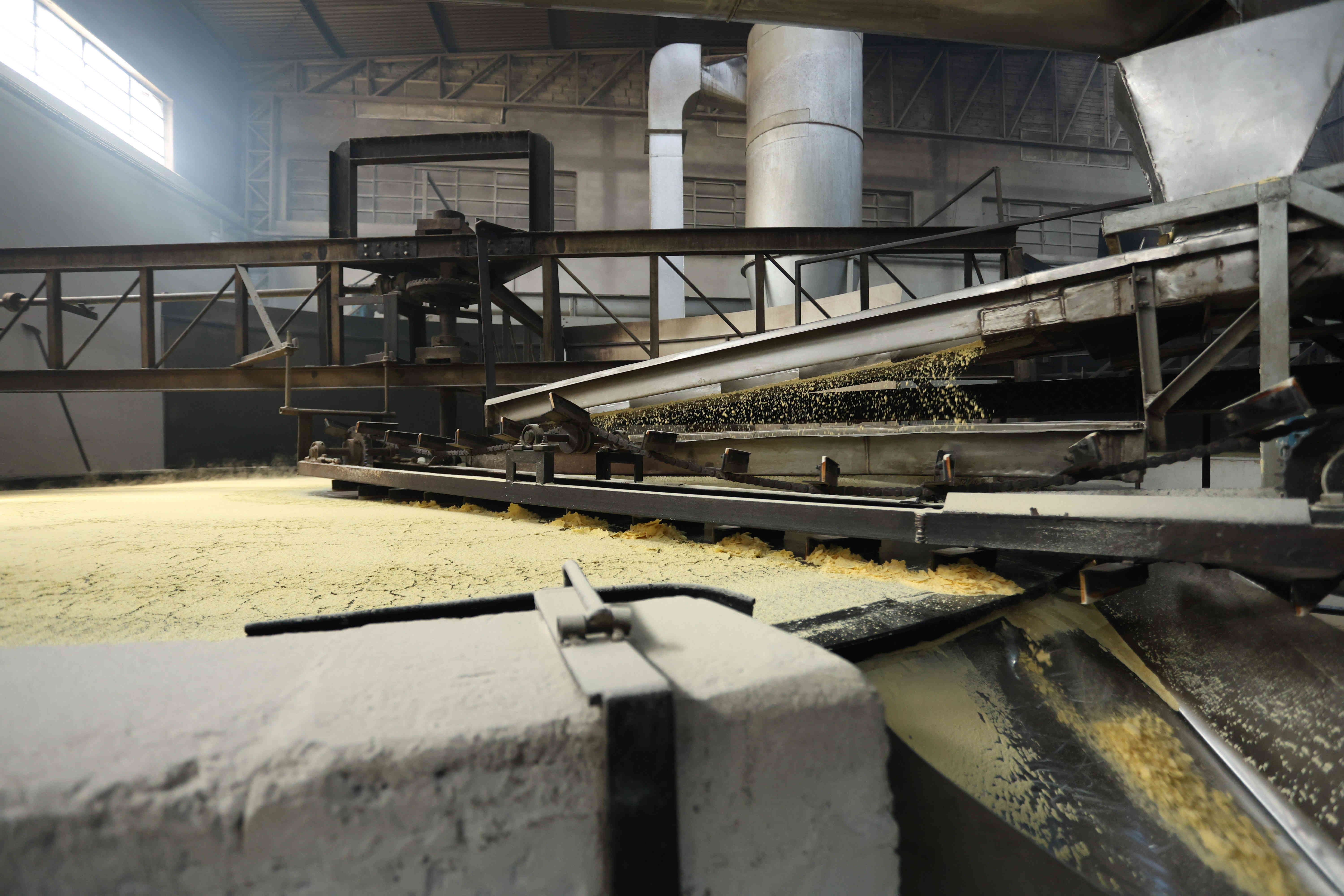 Farinha de milho flocada sendo processada em esteiras da linha de produção industrial da CL Angelo