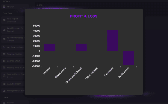 Profit and Loss Report