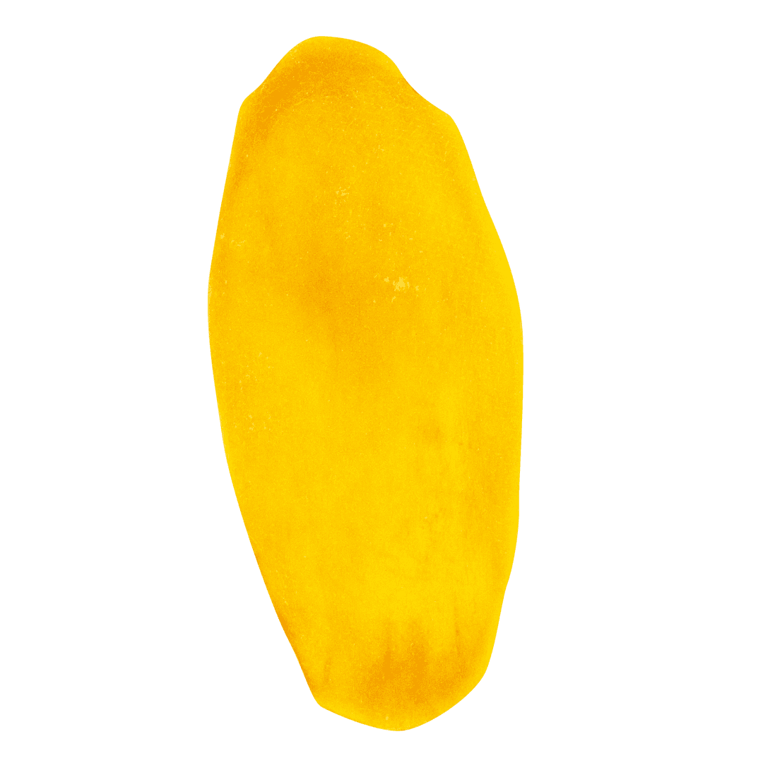 มะม่วงอบแห้ง Dried Mangoes พรีเมียม dried fruits in thailand