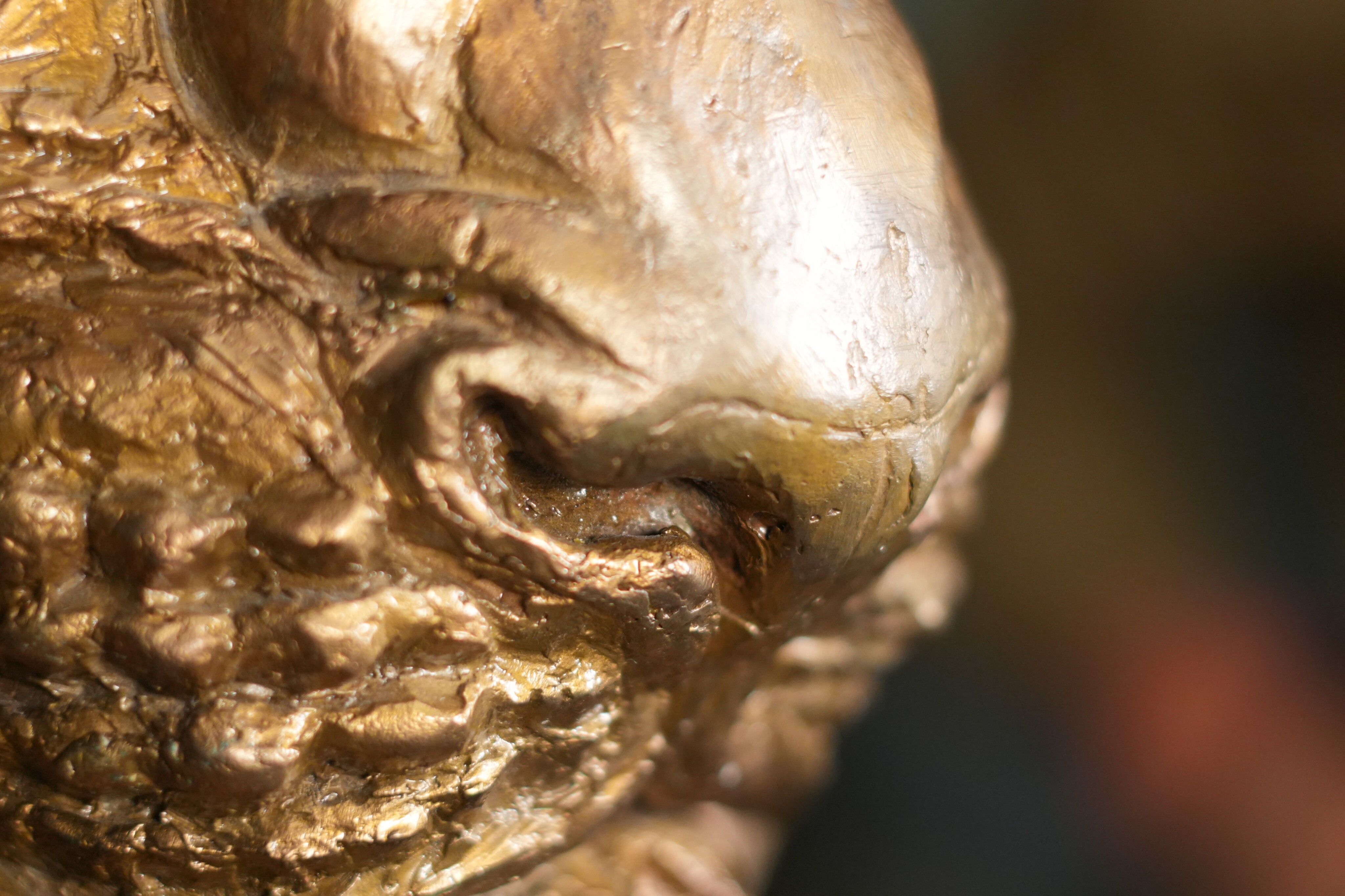 Bronze sculpture of a Lion's head