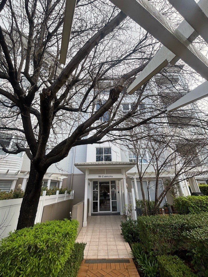 Termite and pest infestation at a church with floors pulled up