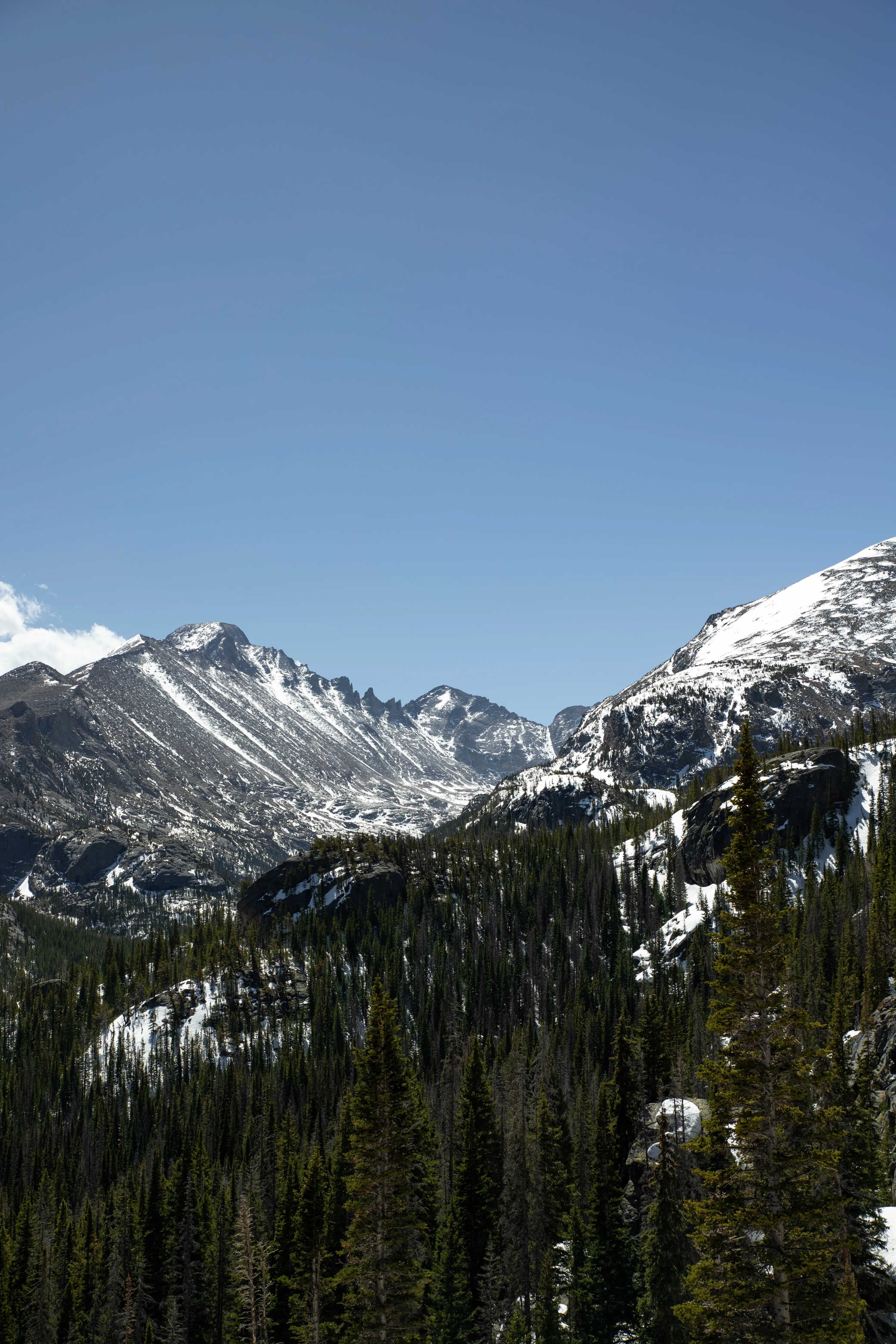 Batch.Works product catalogue book on a work top with a graphic printed image on the front