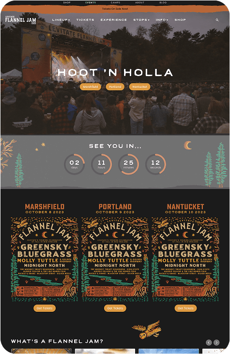 Levitate Flannel Jam ticketing website screenshot